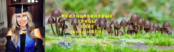 МДМА Арсеньев