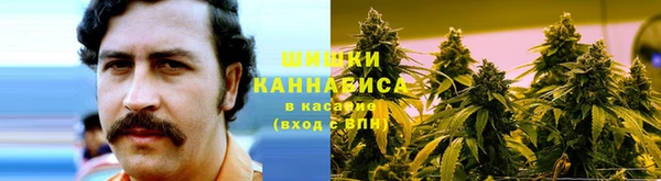 ECSTASY Армянск