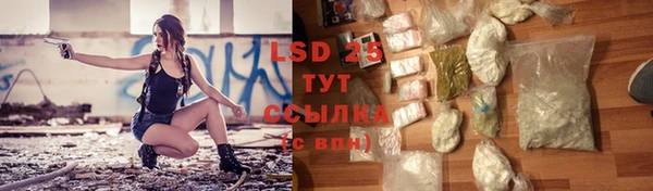 крисы Аркадак