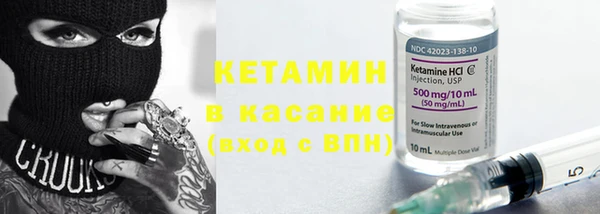 крисы Аркадак