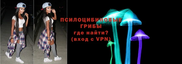 крисы Аркадак