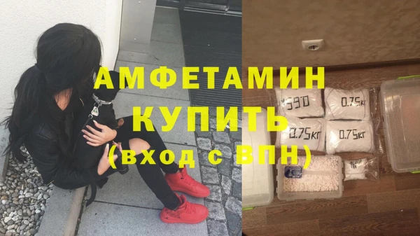 прущие грибы Протвино