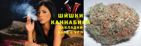 крисы Аркадак