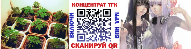 MEGA вход  Почеп  Дистиллят ТГК Wax 