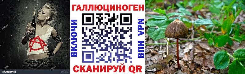 Галлюциногенные грибы GOLDEN TEACHER  даркнет сайт  Почеп 